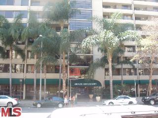 The Skyline Condominiums unit no #508