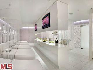 The Ritz Carlton at LA Live unit no #45D