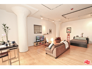 Little Tokyo Lofts For Sale Call 213-808-4324