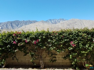 1655 E Palm Canyon Dr #317, Palm Springs, CA 92264