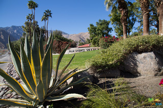 2860 N Los Felices Rd #104, Palm Springs, CA 92262