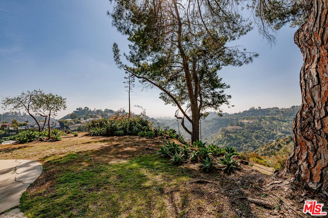 MLS #23-254565 image #4