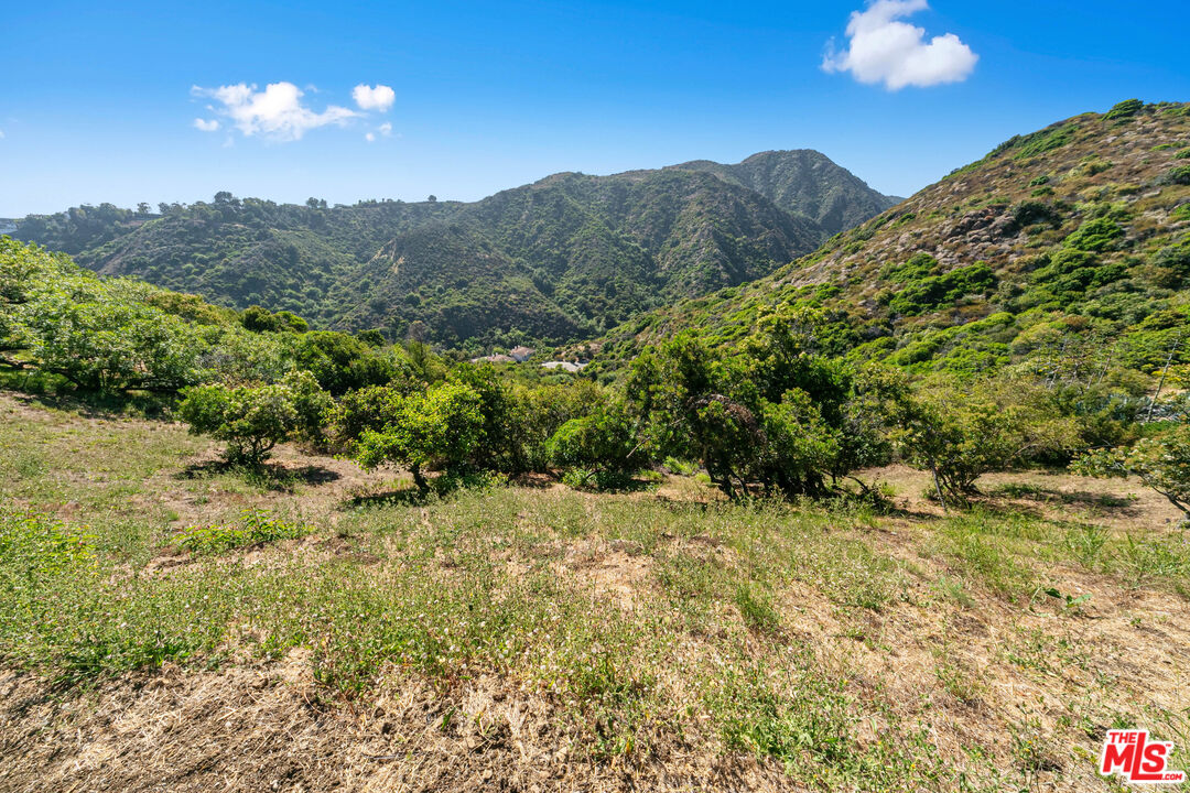 MLS #23-298967 image #11