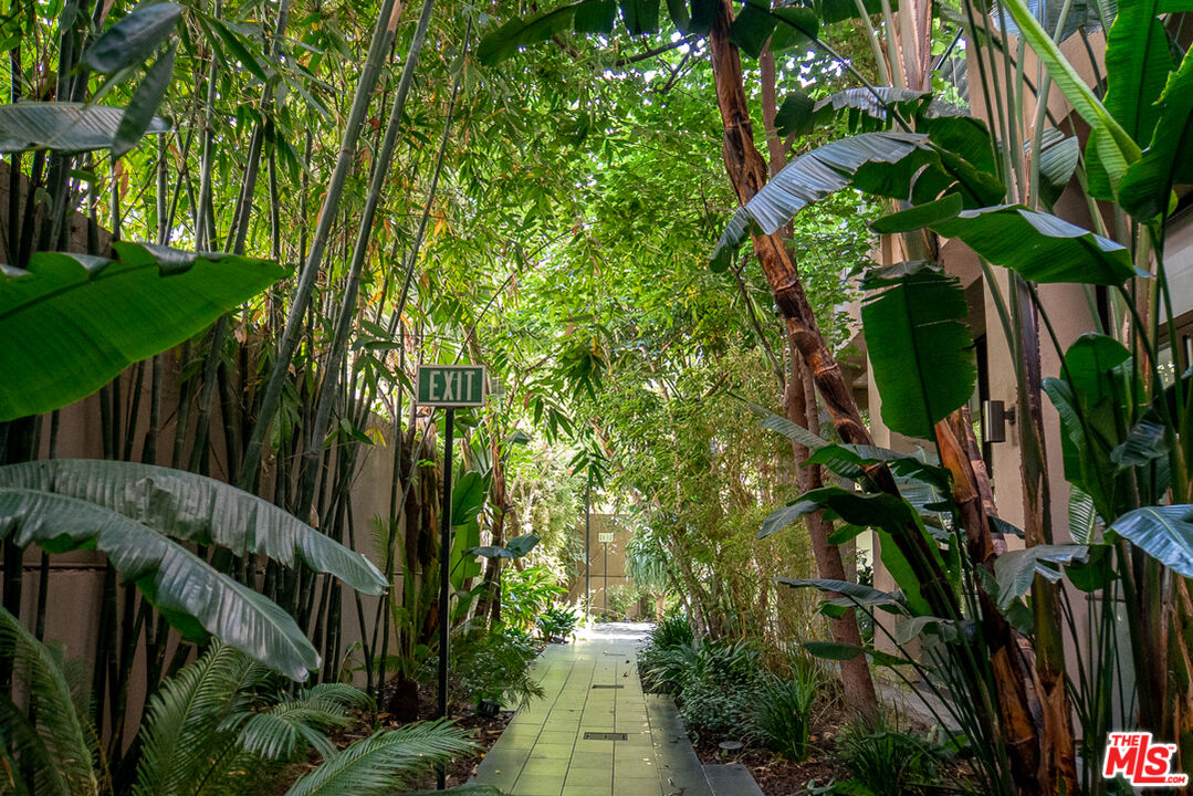 MLS #24-468953 image #45