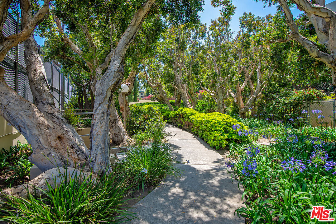 MLS #25493811 image #31