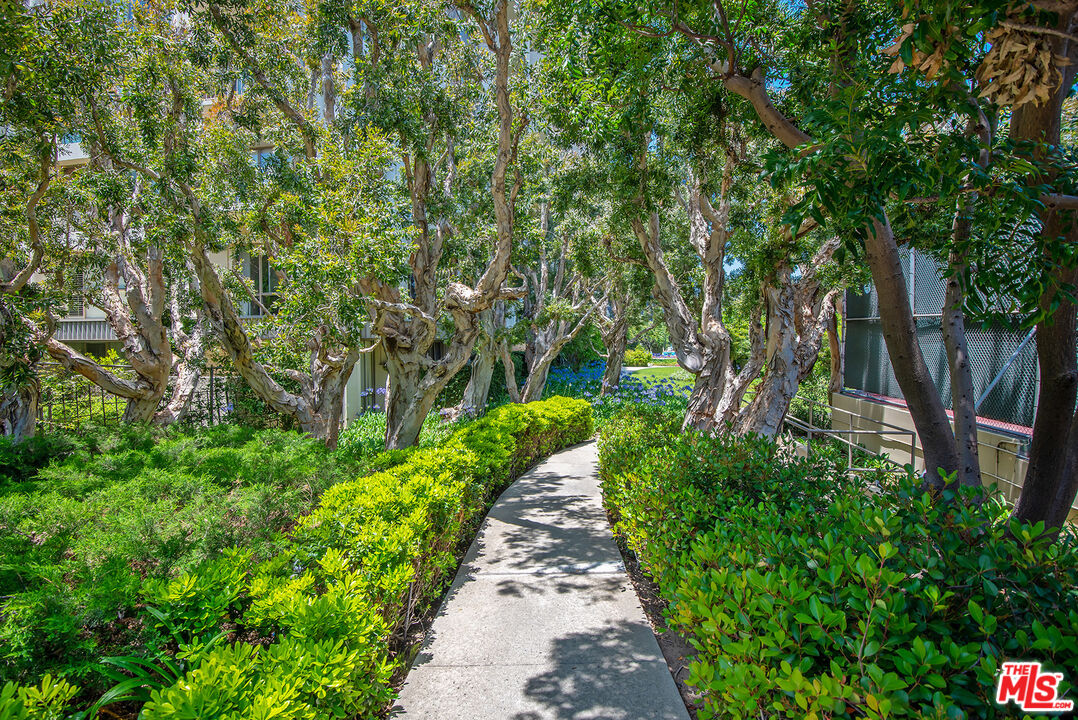 MLS #25493811 image #32