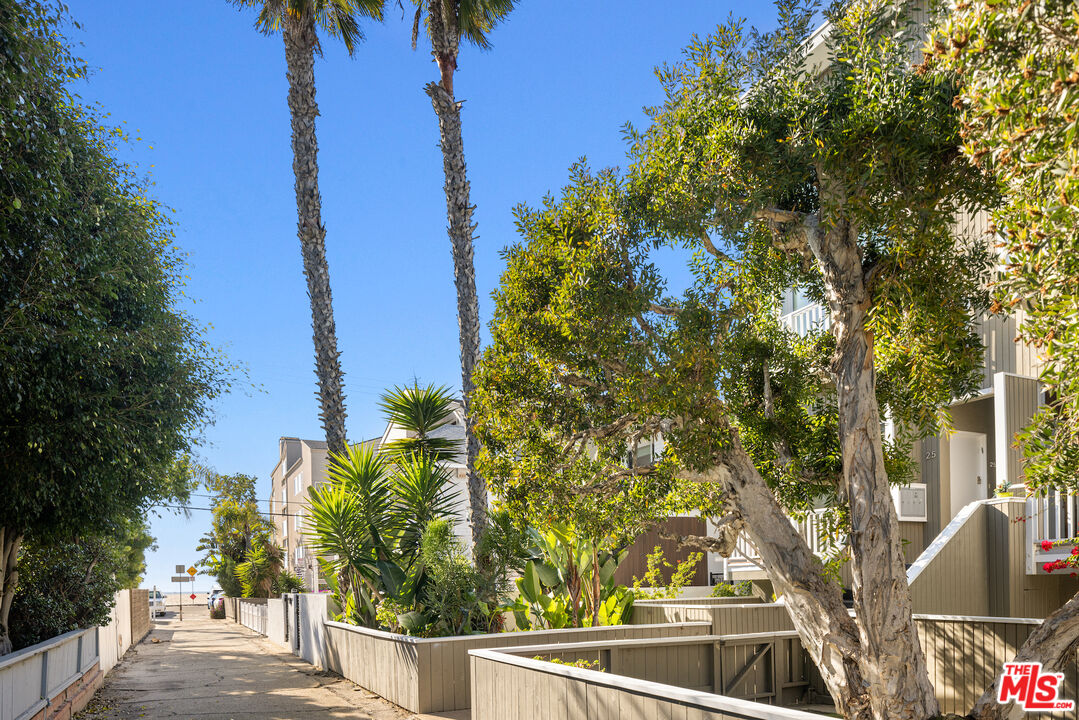 MLS #25499953 image #19