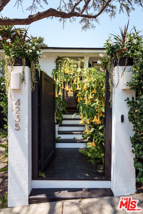 MLS #25526317 image #1