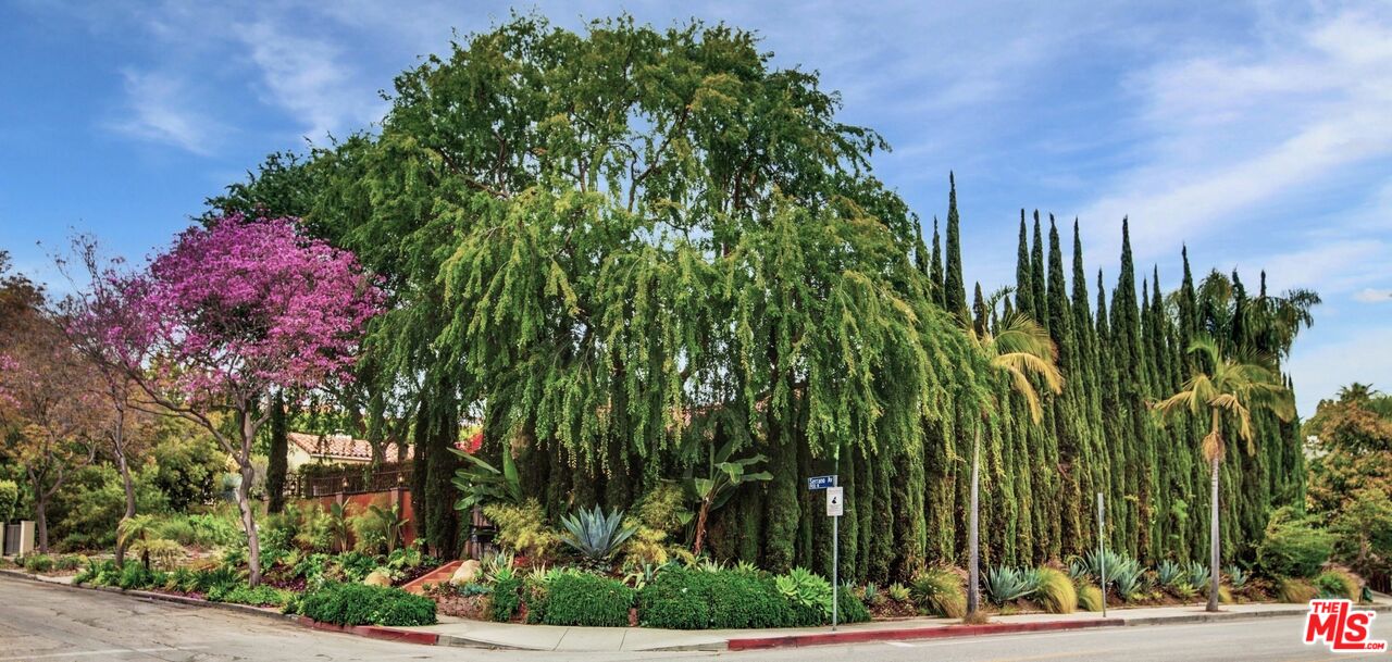 MLS #25532201 image #36