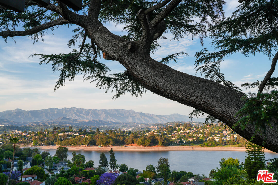 MLS #25536097 image #57