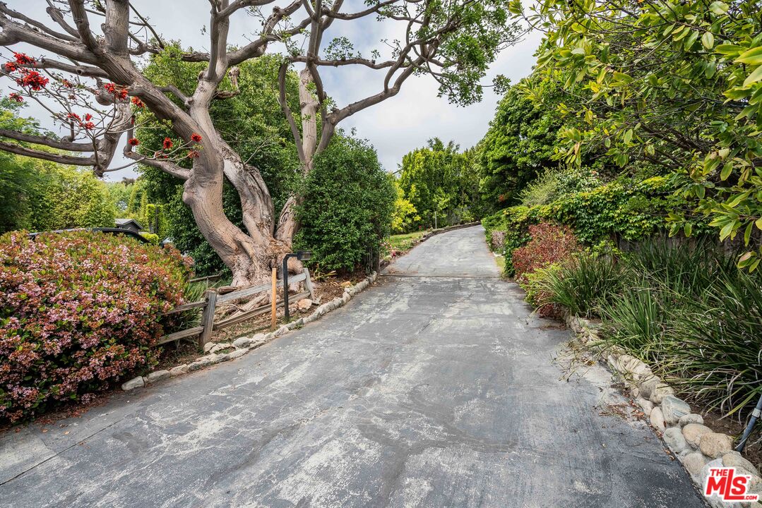 MLS #25537663 image #7