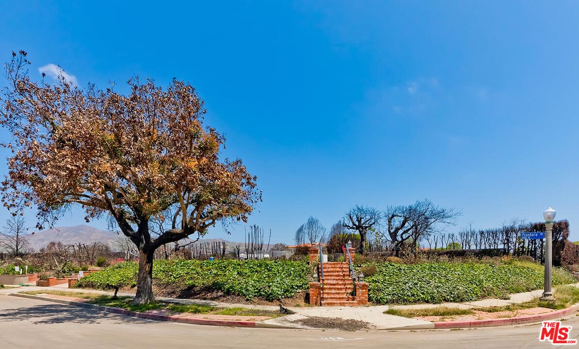 MLS #25541019 image #7