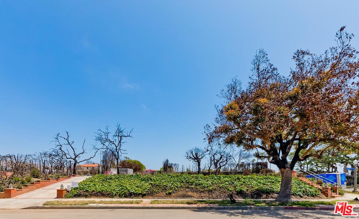 MLS #25541019 image #8