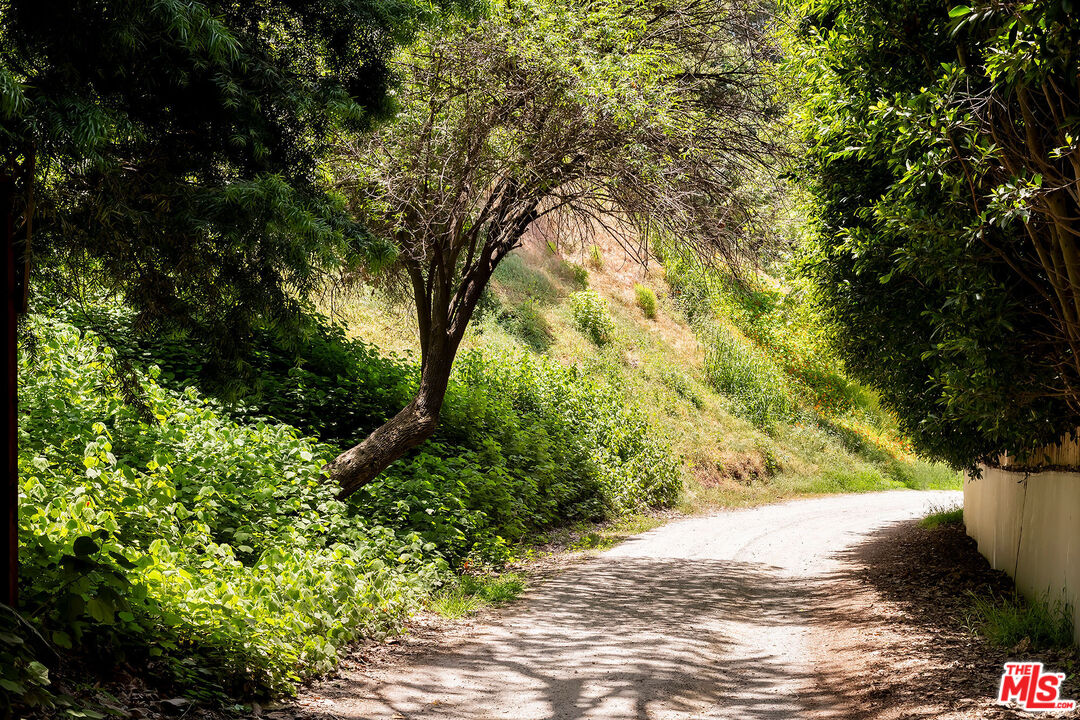 MLS #25541749 image #2