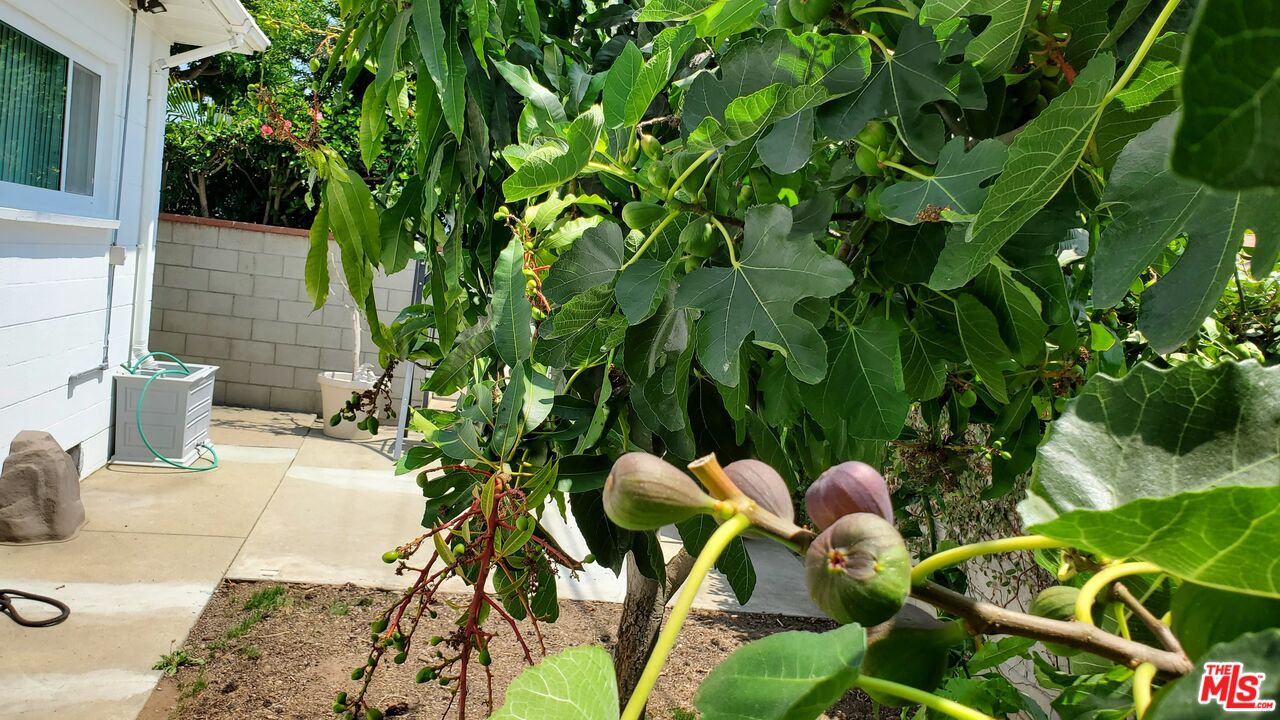 MLS #25547733 image #32