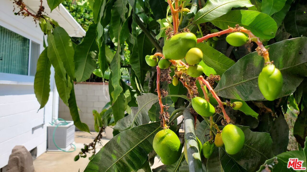 MLS #25547733 image #34