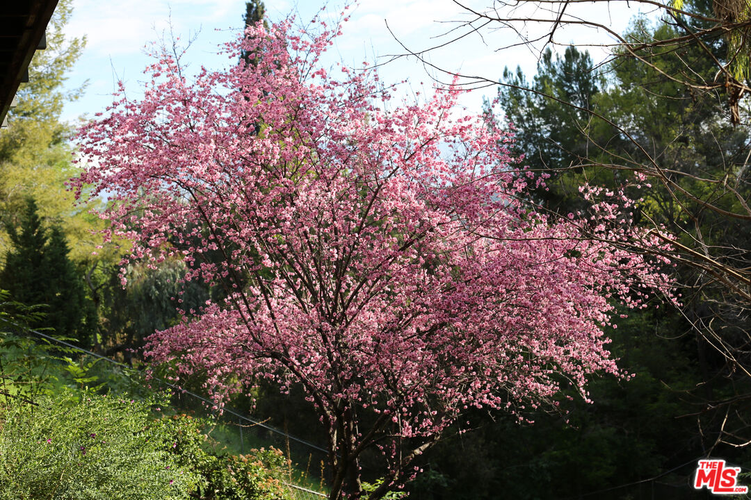 MLS #25548213 image #55