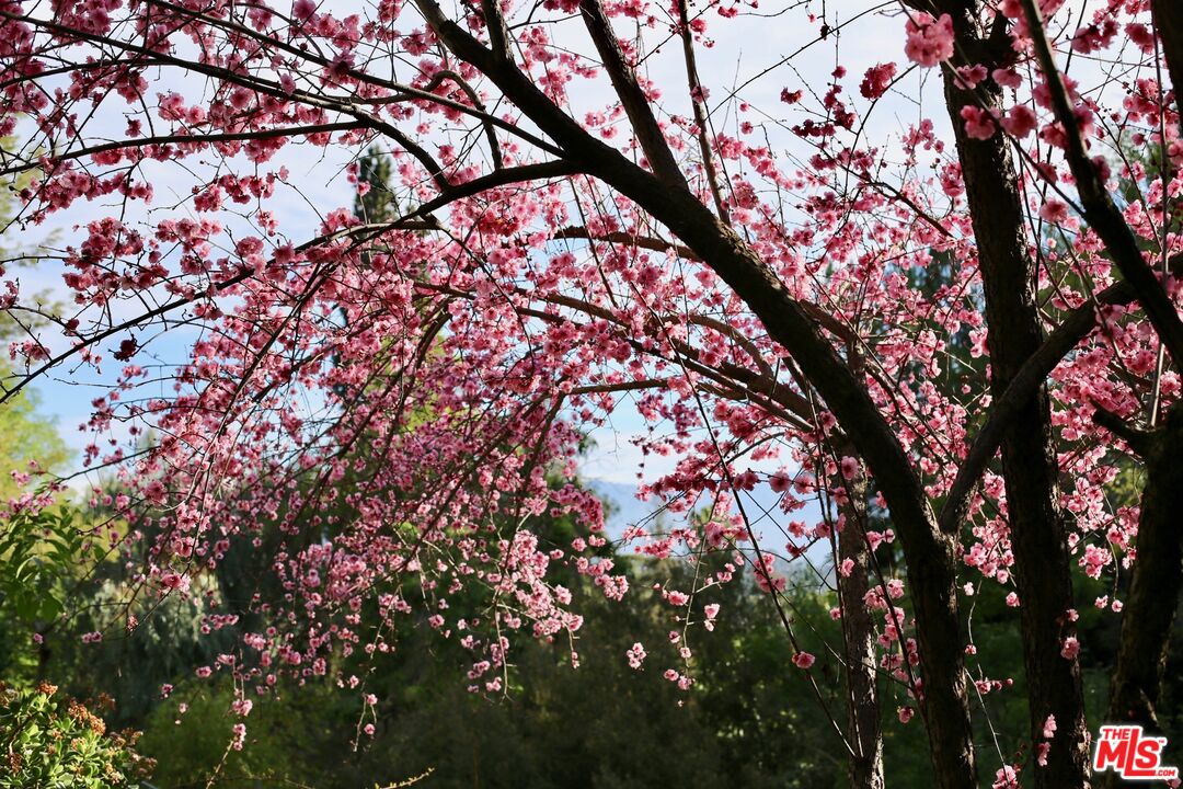 MLS #25548213 image #57