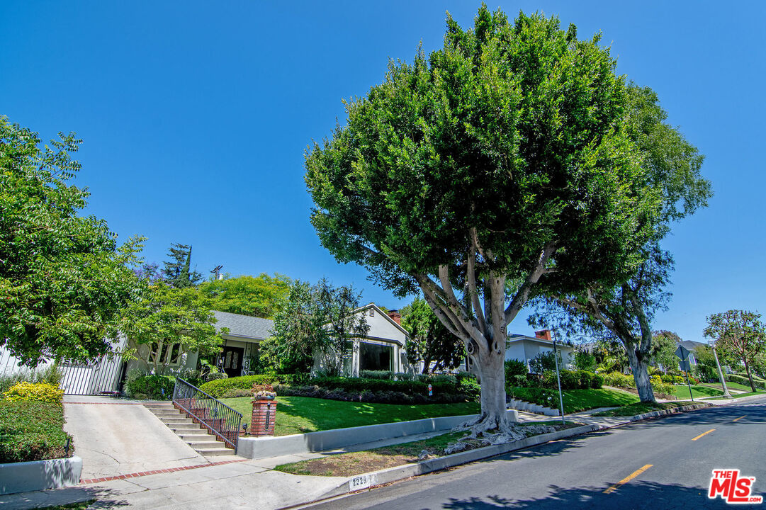 MLS #25552807 image #1