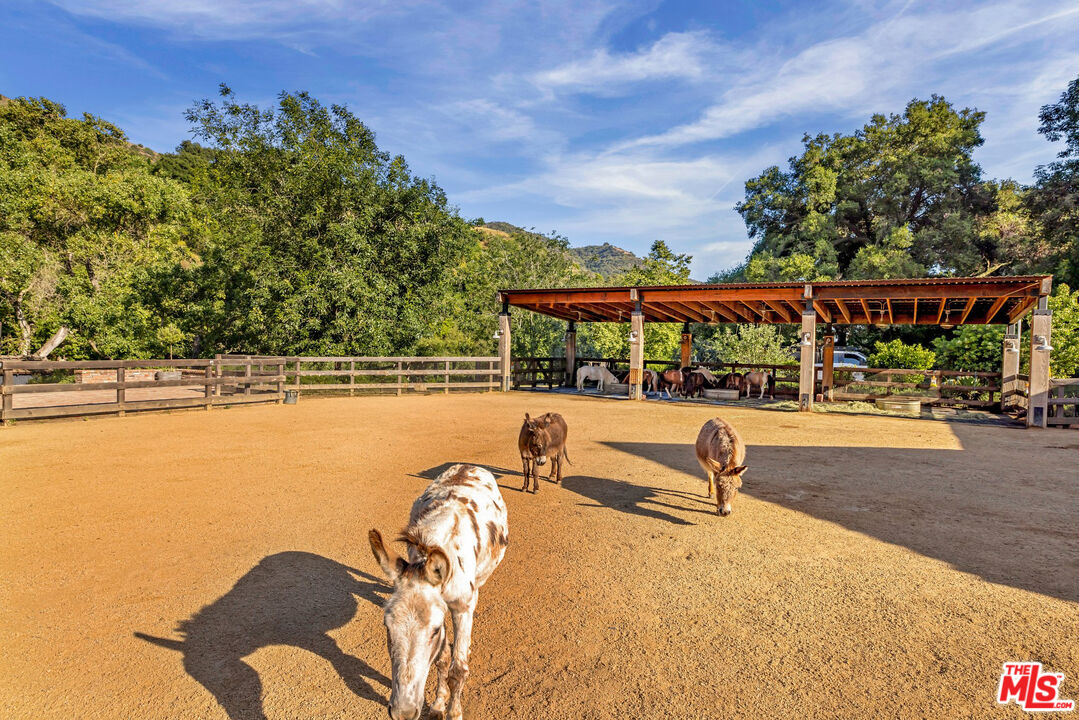 MLS #25555319 image #53