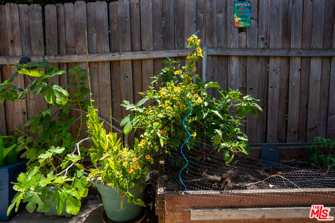 MLS #25555469 image #29