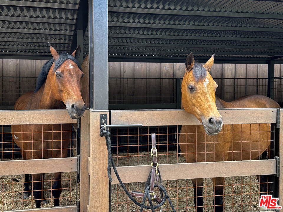 MLS #25555497 image #41