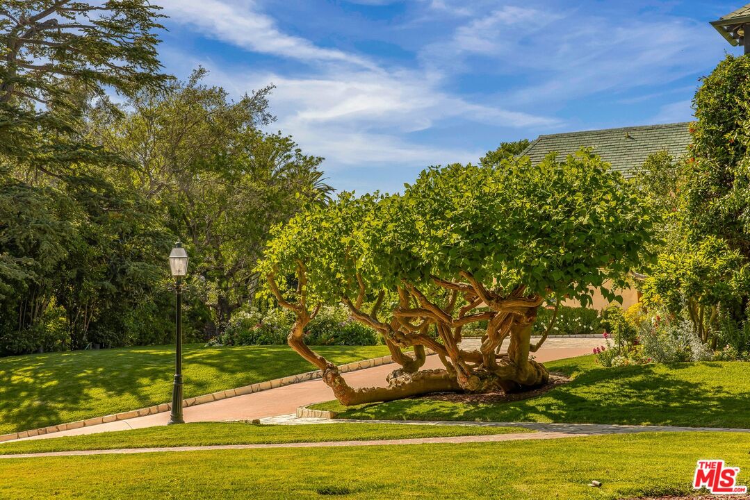 MLS #25556491 image #3