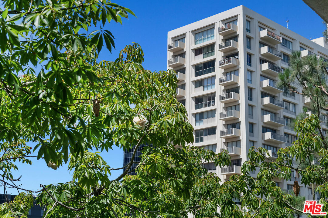 MLS #25557241 image #44