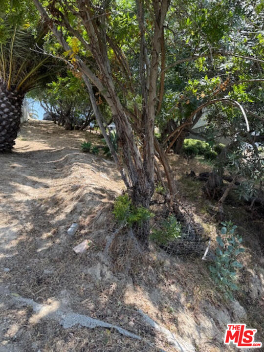 MLS #25557995 image #9