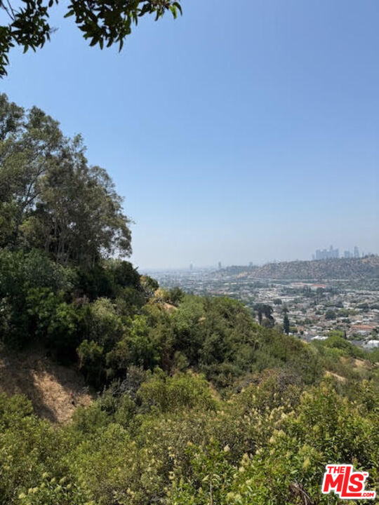 MLS #25557995 image #11