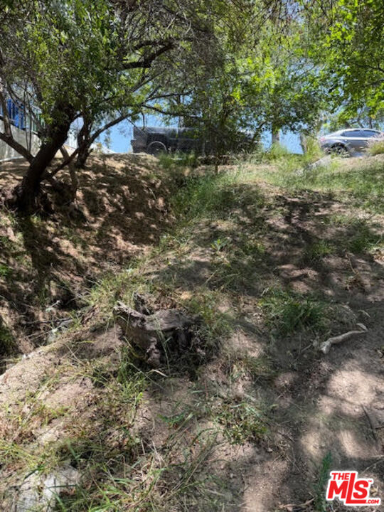 MLS #25557995 image #1