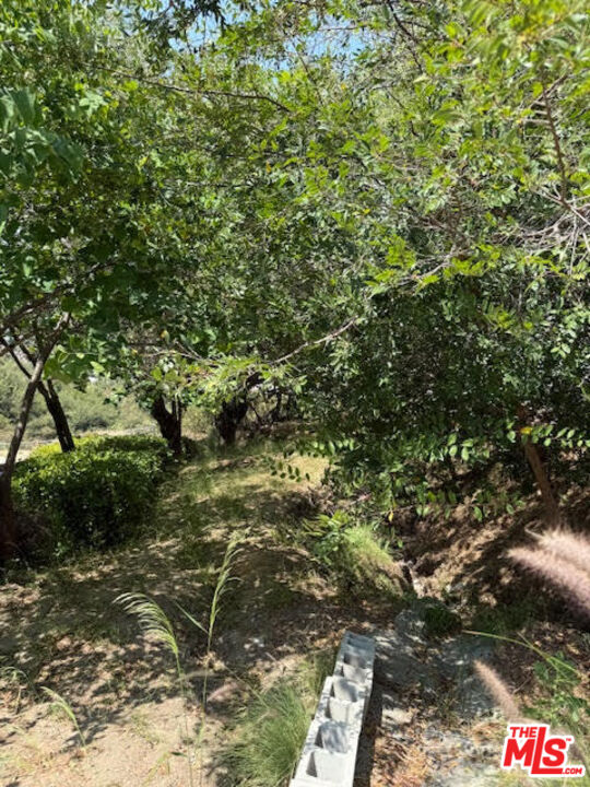 MLS #25557995 image #2