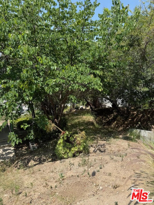 MLS #25557995 image #3