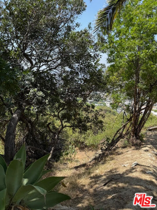 MLS #25557995 image #4