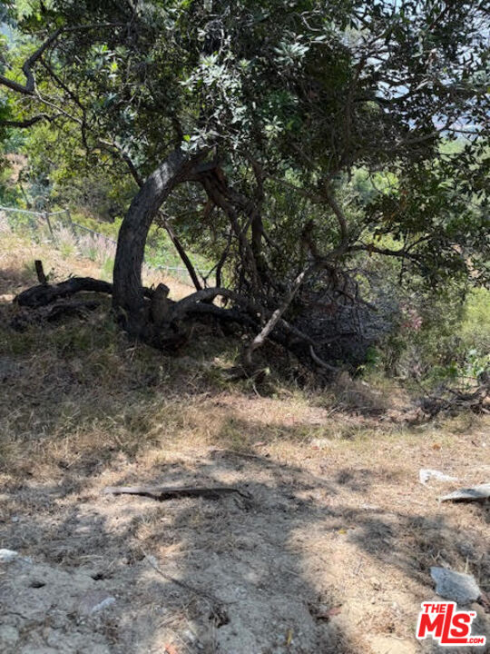 MLS #25557995 image #5