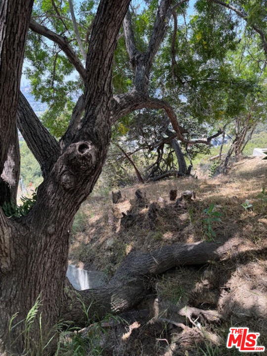 MLS #25557995 image #6