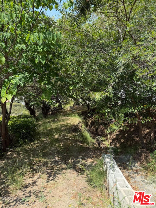 MLS #25557995 image #7