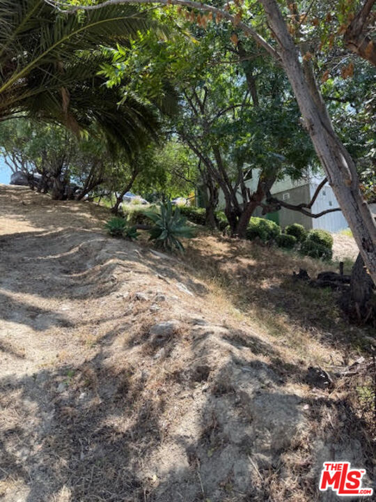 MLS #25557995 image #8