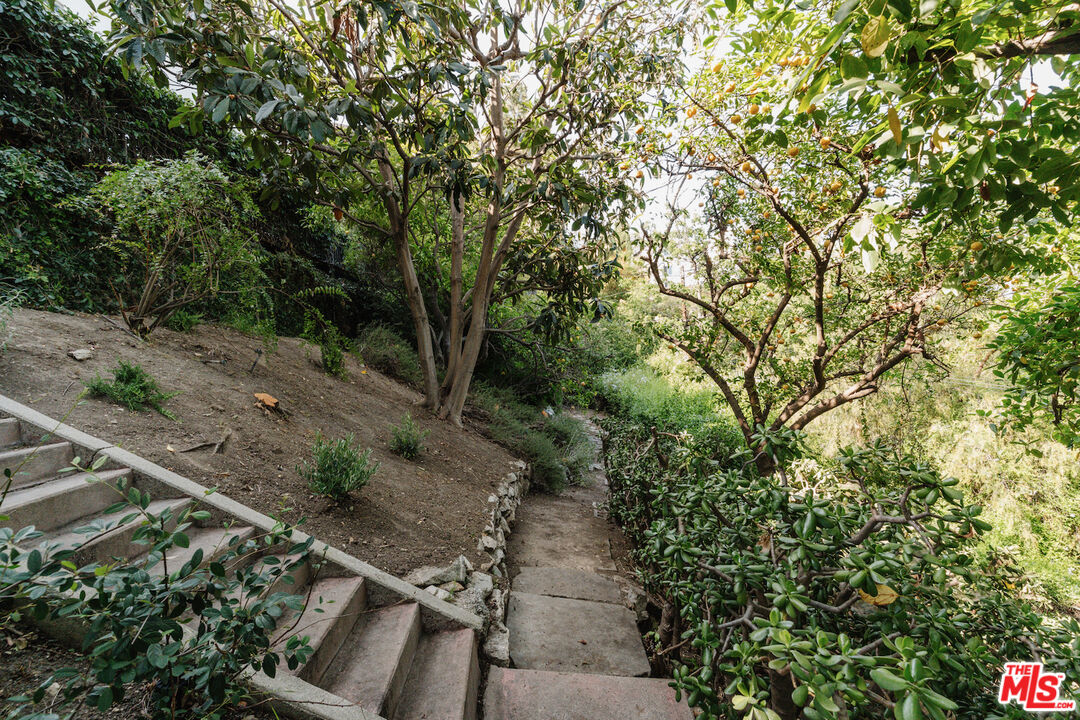 MLS #25558609 image #66