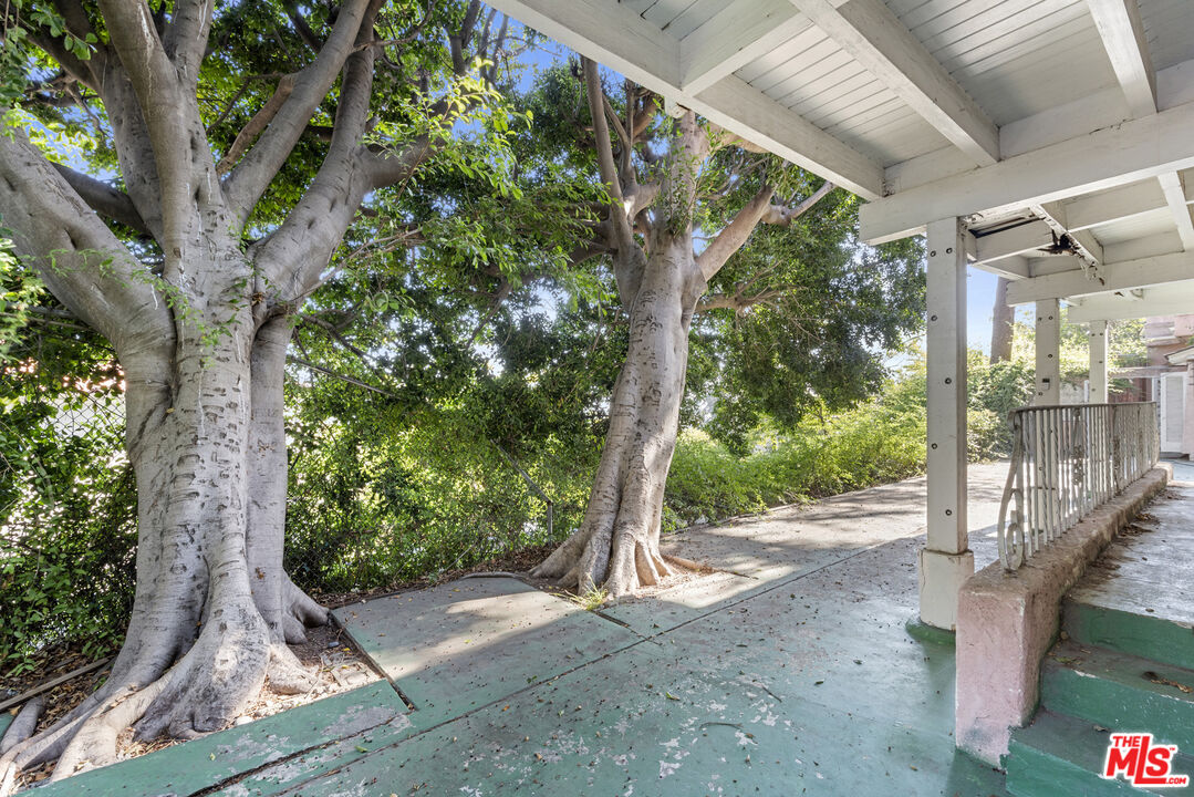 MLS #25559133 image #26