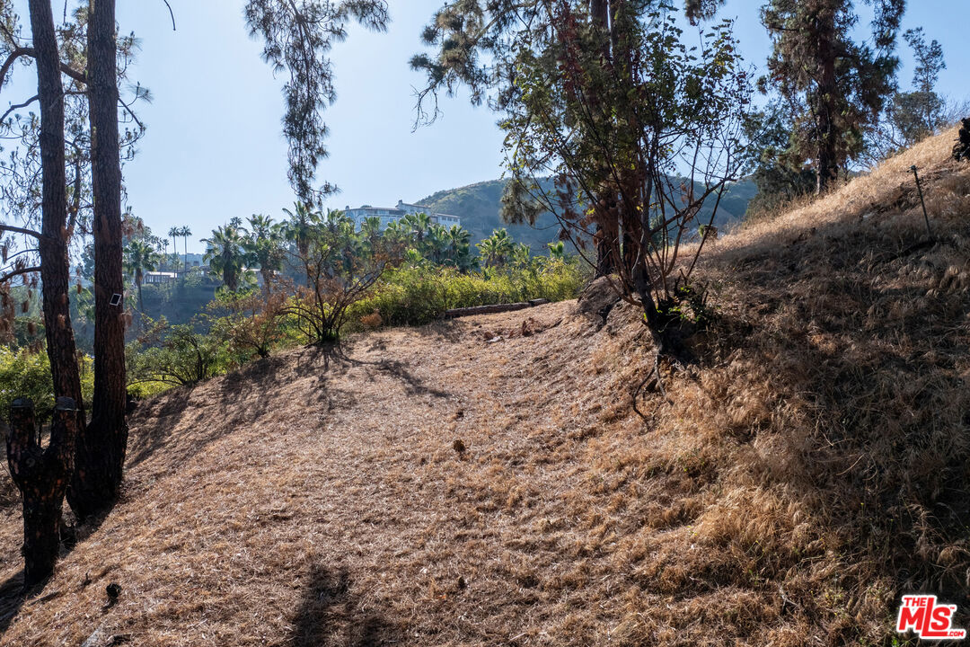 MLS #25559133 image #42