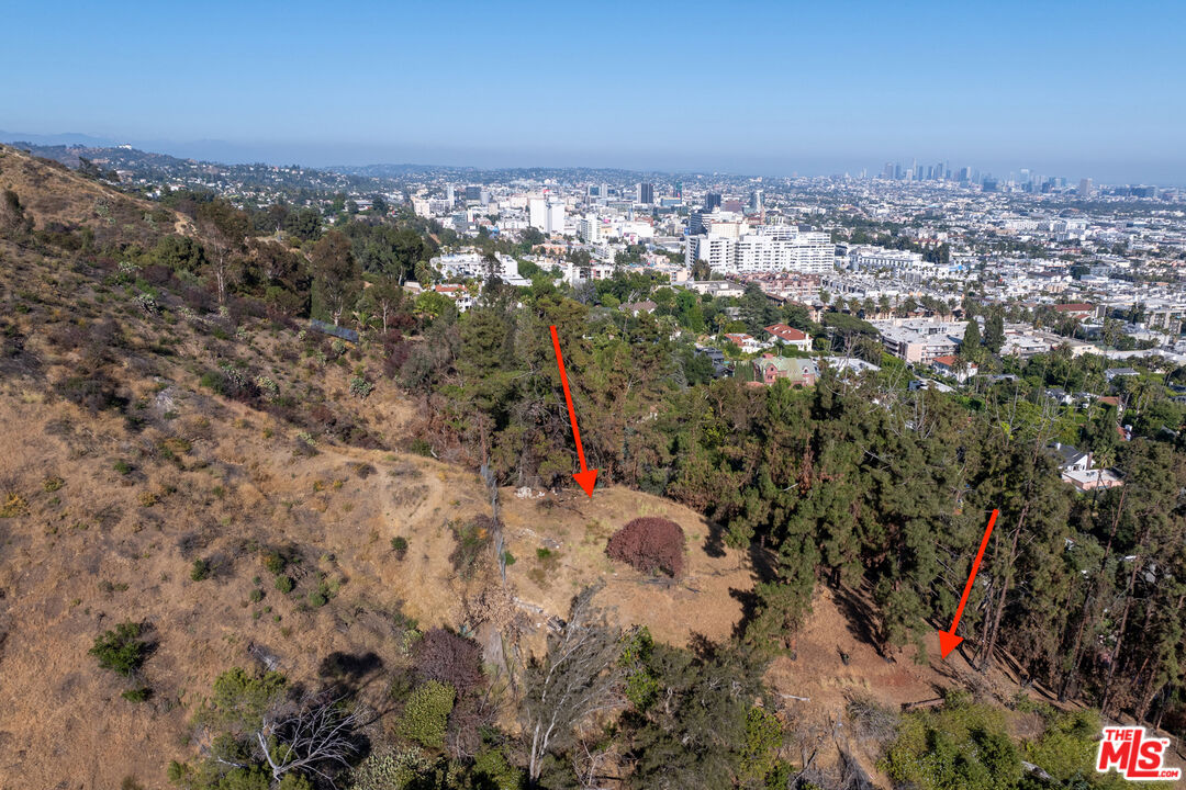 MLS #25559133 image #43