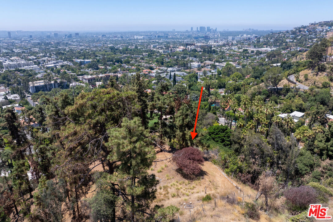 MLS #25559133 image #45