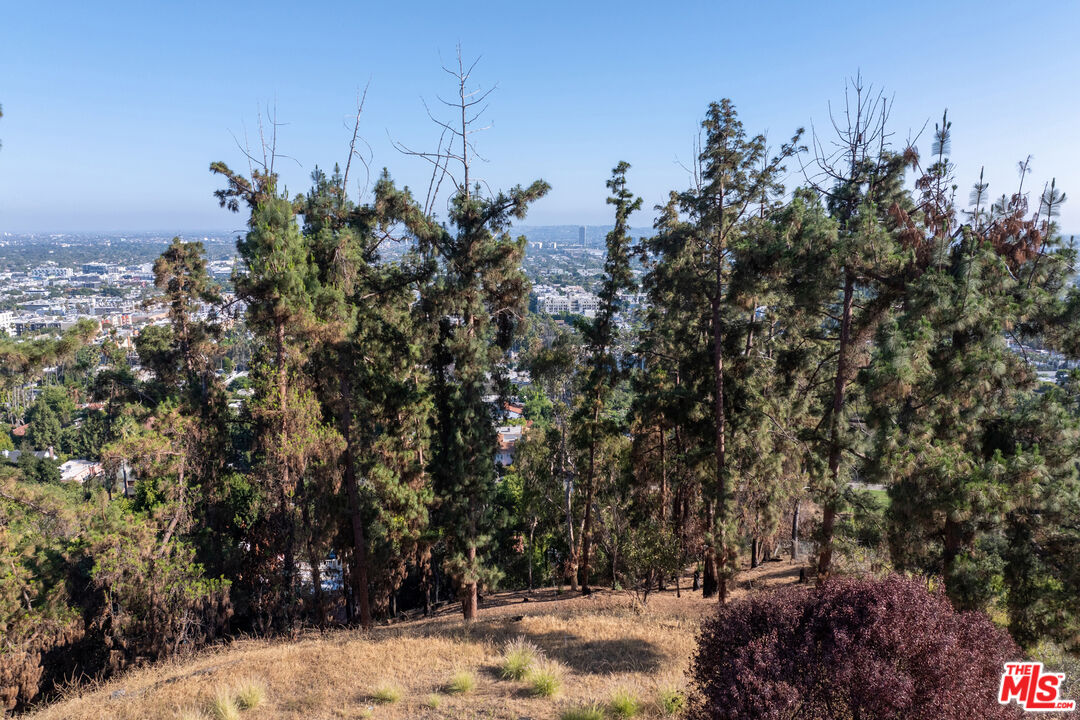 MLS #25559133 image #49