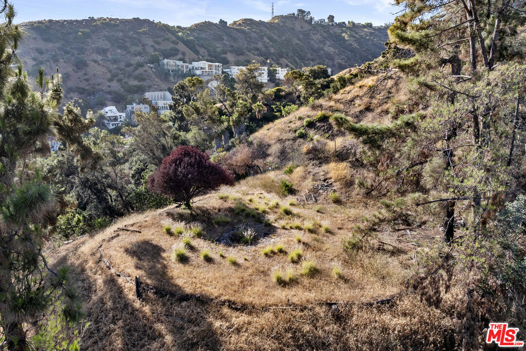 MLS #25559133 image #52