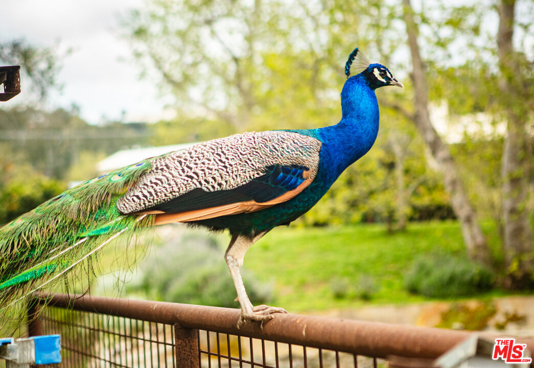 MLS #25559465 image #9