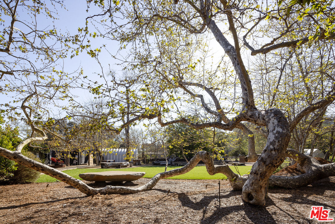 MLS #25559465 image #25