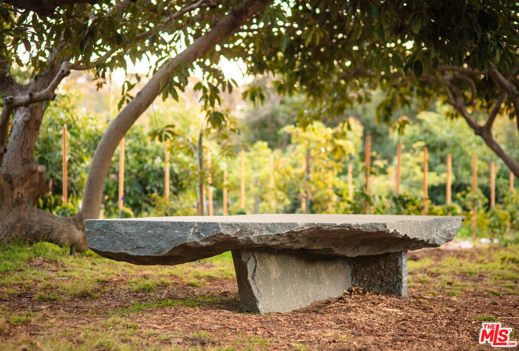 MLS #25559465 image #26