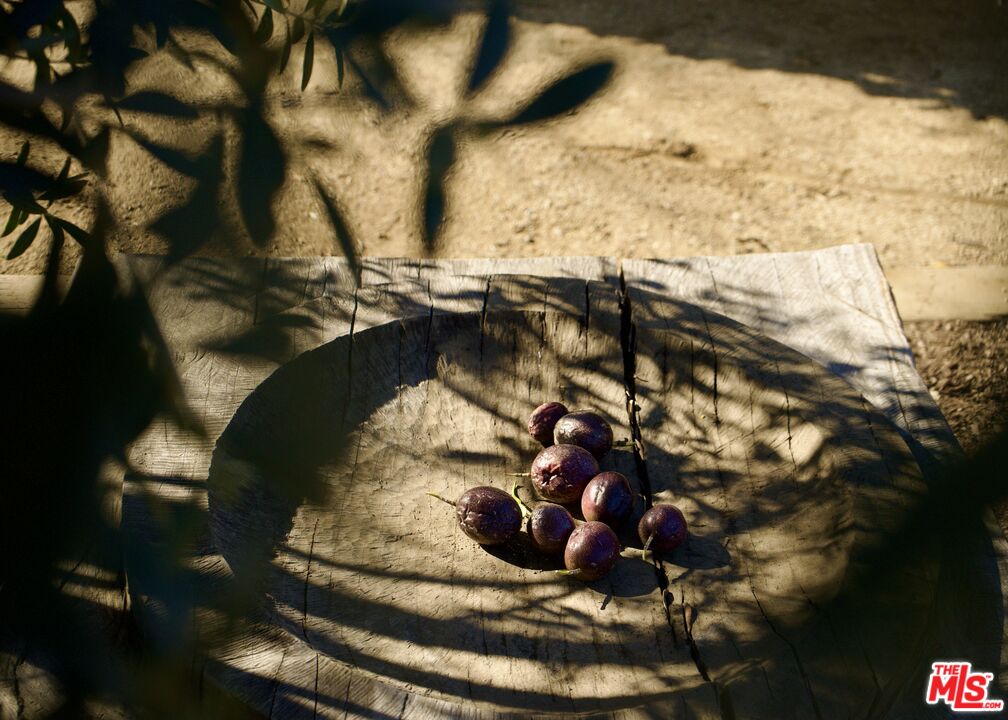 MLS #25559465 image #29