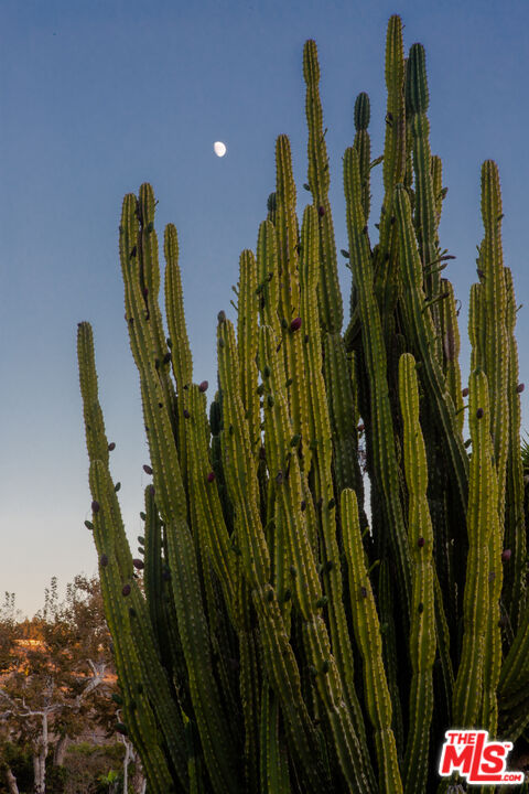 MLS #25559465 image #30